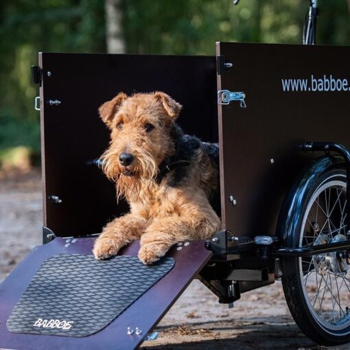Babboe Dog-E – Bild 4