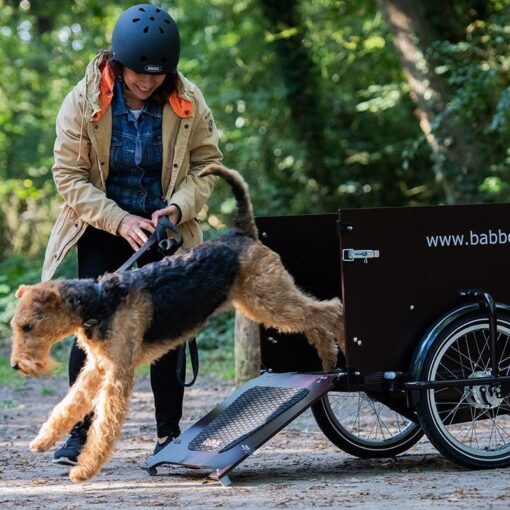 Babboe Dog-E – Bild 5