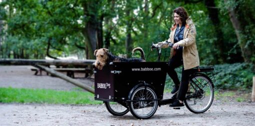 Babboe Dog-E – Bild 7