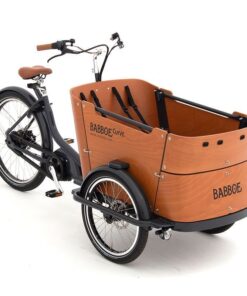 Babboe Curve Mountain Enviolo