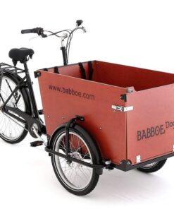 Alternative view of Babboe Dog-E