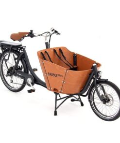 Babboe Mini-E fertig montiert DB-V/DB-A !!!darf momentan nicht verkauft werden!!!