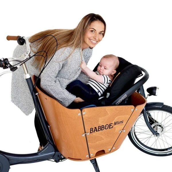 Babboe Mini-E fertig montiert DB-V/DB-A !!!darf momentan nicht verkauft werden!!! – Bild 2