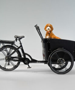 Cargobike Flex Dog